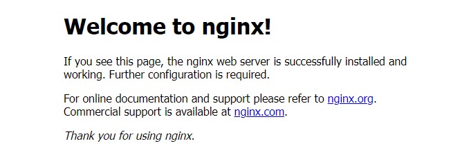 Nginx default page